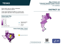 TX Congressional District 25 Stroke and Federally Qualified Health Centers Map 119th Congress