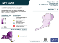 NY Congressional District 05 Stroke and Stroke Centers Map 119th Congress