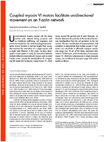 Coupled myosin VI motors facilitate unidirectional movement on an Factin network