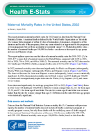 Health Estat Maternal mortality rates in the United States 2022