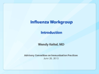 Influenza workgroup  introduction