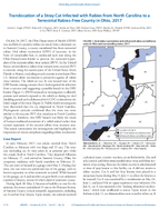 Translocation of a Stray Cat Infected with Rabies from North Carolina to a Terrestrial RabiesFree County in Ohio 2017