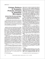 Unique Pattern of Enzootic Primate Viruses in Gibraltar Macaques