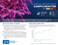 CDCs 2019 Antibiotic Resistance Threats Report DrugresistantCampylobacter
