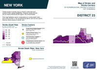 NY Congressional District 23 Stroke and Stroke Centers Map 119th Congress