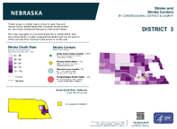 NE Congressional District 03 Stroke and Stroke Centers Map 118th Congress