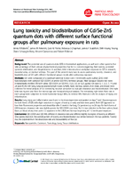 Lung toxicity and biodistribution of CdSeZnS quantum dots with different surface functional groups after pulmonary exposure in rats