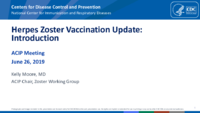 Herpes zoster vaccination update  introduction
