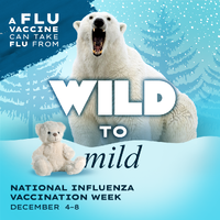 A Flu Vaccine Can Take Flu from Wild to Mild National Influenza Vaccination Week December 48 Polar bearPlushy