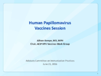 Human papillomavirus vaccines session