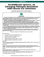 Auritidibacter ignavus an Emerging Pathogen Associated with Chronic Ear Infections
