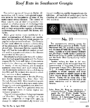 Roof rats in southwest Georgia