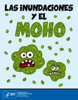 Las inundaciones y el moho