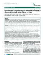 Interspecies interactions and potential Influenza A virus risk in small swine farms in Peru