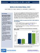 Births in the United States 2024