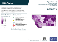 MT Congressional District 01 Stroke and Stroke Centers Map 119th Congress
