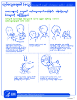 Influenza Flu Taking to Children About Flu Burmese