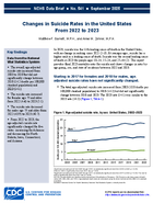 Changes in suicide rates in the United States from 2022 to 2023