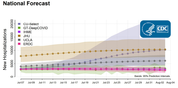New hospitalizations National Forecast