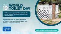 World Toilet Day Nov 19