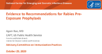 Evidence to Recommendations for Rabies PreExposure Prophylaxis