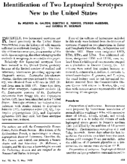 Identification of two leptospiral serotypes new to the United States