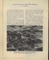 Special projects Investigations of red tide fish kill in Florida