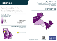 GA Congressional District 13 Stroke and Federally Qualified Health Centers Map 119th Congress