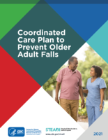 Coordinated care plan to prevent older adult falls