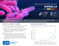 CDCs 2019 Antibiotic Resistance Threats Report DrugresistantShigella