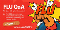 Flu QA