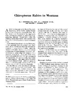 Chiropteran rabies in Montana