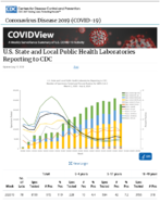 US State and Local Public Health Laboratories Reporting to CDC Updated July 10 2020