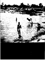 Public Health Rep v 75 no 5  Masthead