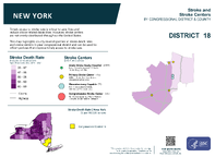 NY Congressional District 18 Stroke and Stroke Centers Map 118th Congress