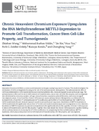 Chronic hexavalent chromium exposure upregulates the RNA methyltransferase METTL3 expression to promote cell transformation cancer stem celllike property and tumorigenesis