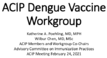 ACIP Dengue Vaccine Workgroup