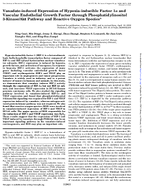VanadateInduced Expression of HypoxiaInducible Factor 1alpha and Vascular Endothelial Growth Factor Through Phosphatidylinositol 3KinaseAkt Pathway and Reactive Oxygen Species