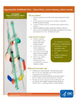 Appropriate Antibiotic Use  Saves Lives Saves Money Makes Sense