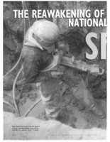 The reawakening of national concern about silicosis