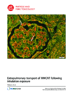 Extrapulmonary transport of MWCNT following inhalation exposure