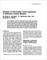 Studies of pancreatic carcinogenesis in different animal models
