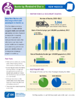 Buckle Up Restraint Use In New Mexico December 2014