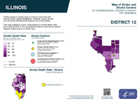 IL Congressional District 12 Stroke and Stroke Centers Map 119th Congress
