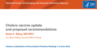 Cholera vaccine update and proposed recommendations