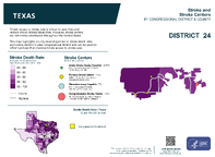 TX Congressional District 24 Stroke and Stroke Centers Map 118th Congress