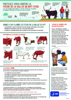 Protegezvous contre la fivre de la valle du Rift FVR  avec des informations correctes on peut eviter aux personnes ou animaux aattraper la fivre de la valle du Rift