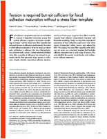 Tension is required but not sufficient for focal adhesion maturation without a stress fiber template