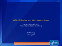 GRADE Review and Work Group Plans