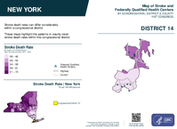 NY Congressional District 14 Stroke and Federally Qualified Health Centers Map 119th Congress